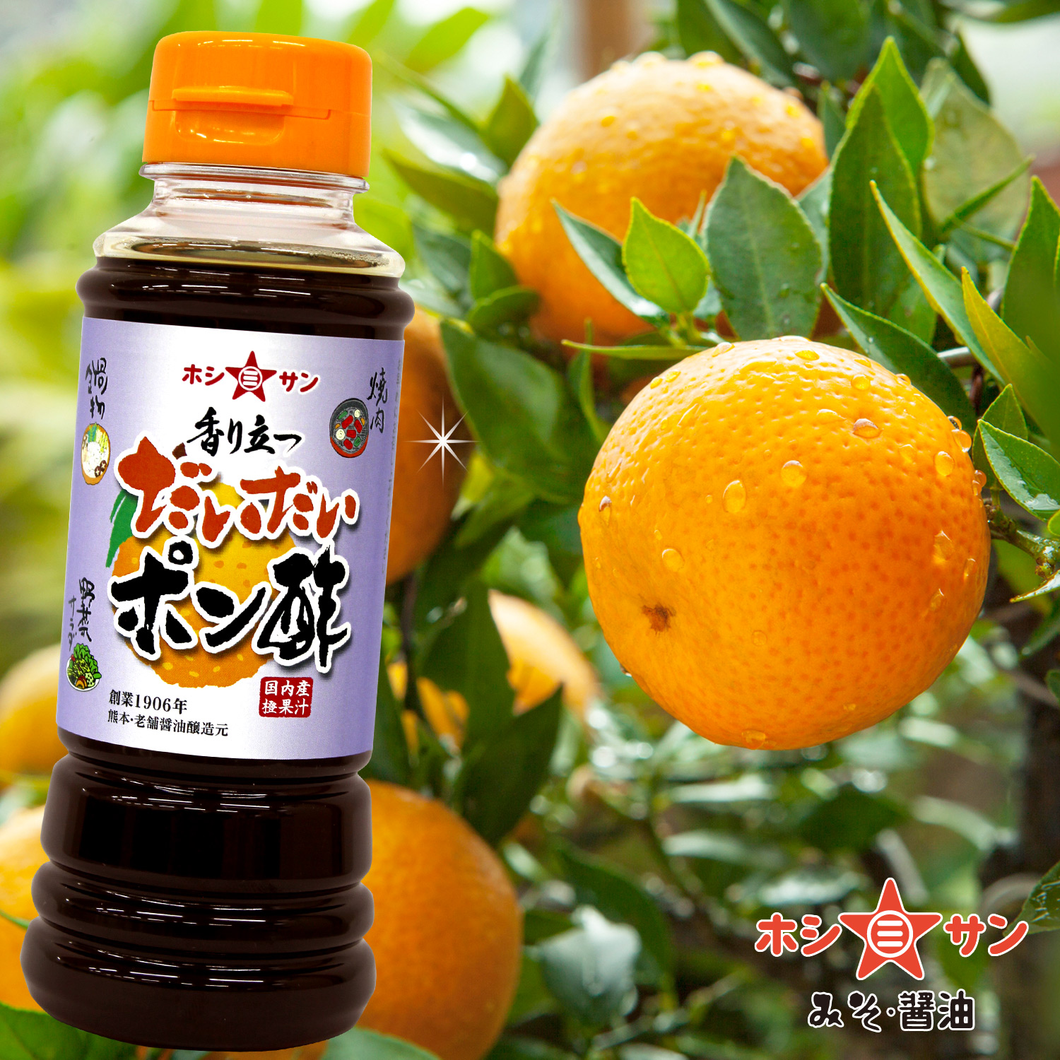 【国産だいだい果汁使用】〈香り立つだいだいポン酢 220ml〉【九州熊本の老舗醤油屋☆ホシサン】