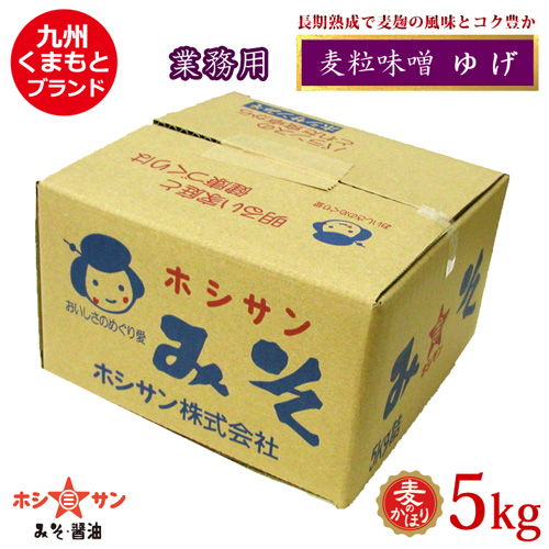 【麦味噌 業務用】〈ゆげ 5kgケース〉【九州熊本の老舗みそ屋ホシサン】