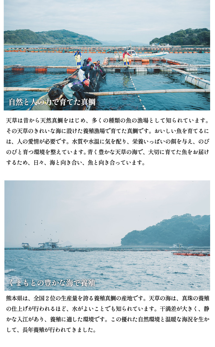 熊本県海水養殖漁業協同組合