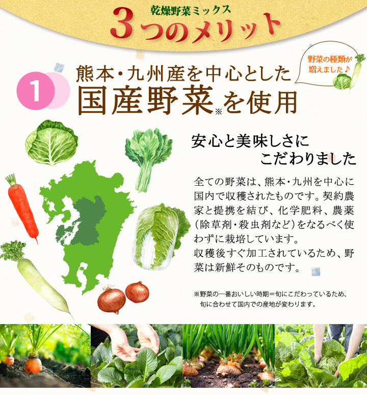 国産野菜100%