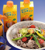 【火の国ぽん酢】豚しゃぶサラダ